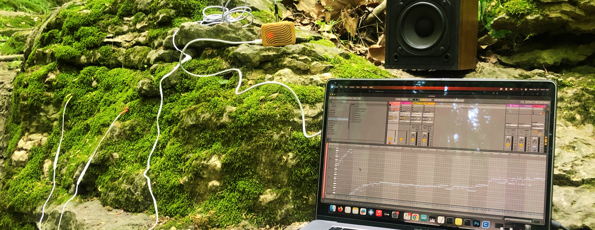 Eco-Art Workshop: Making Music with Nature